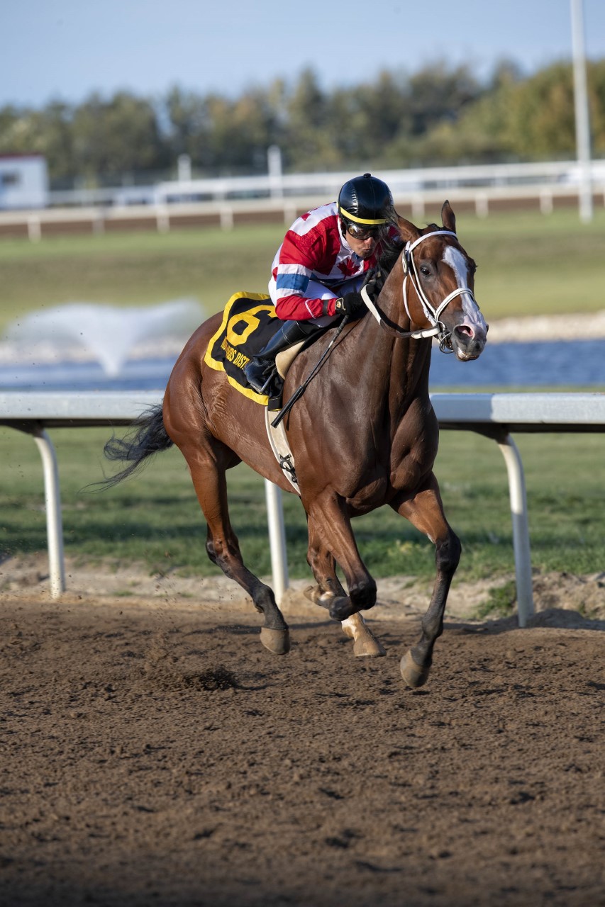 Infinite Patience, owned by Ryan Nugent-Hopkins of the Edmonton Oilers, runs to victory in the Northlands Distaff at Century Mile on September 11, 2021.