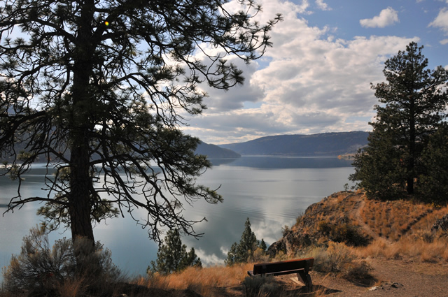 A Guided Walk/Hike for Seniors - image