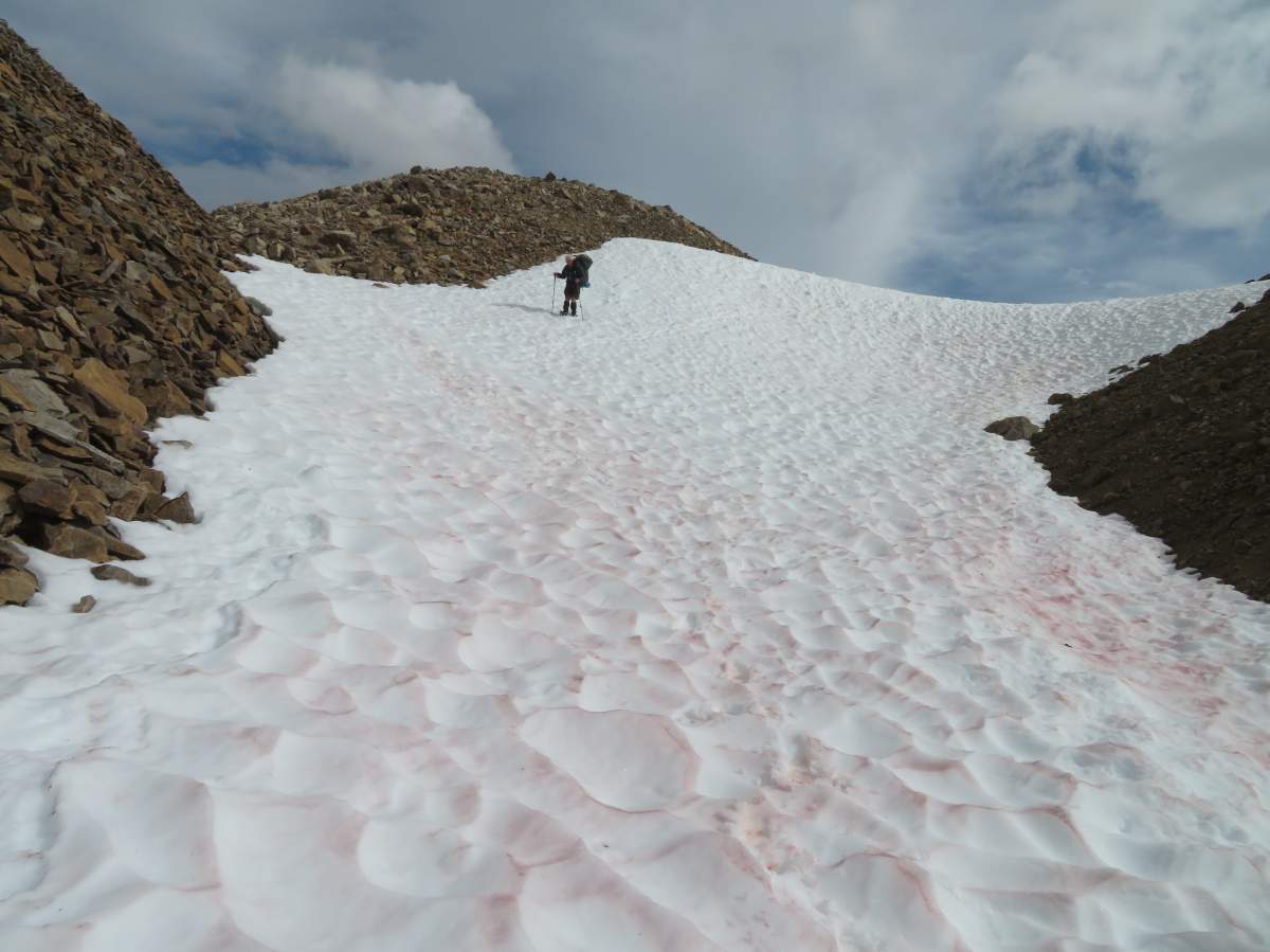 Clayton and Don Cunningham