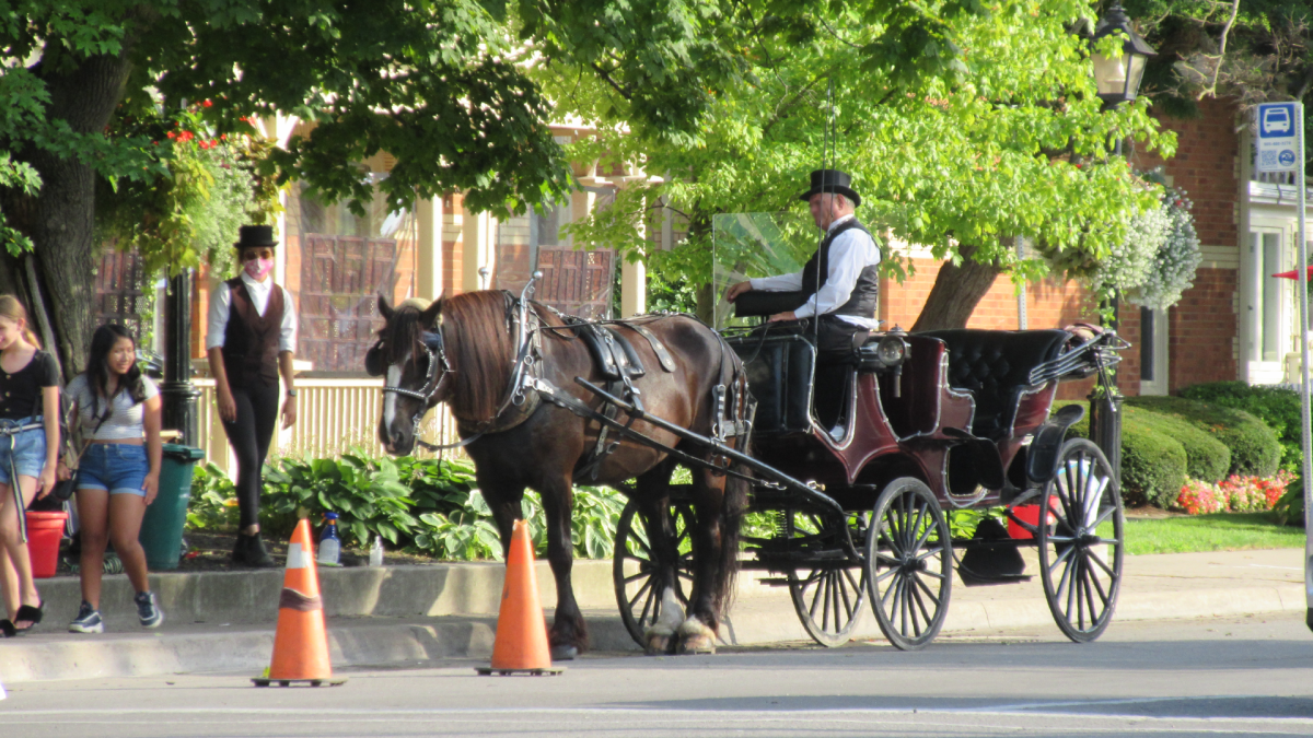 Police lay charge in connection with ongoing horse carriage protests in ...