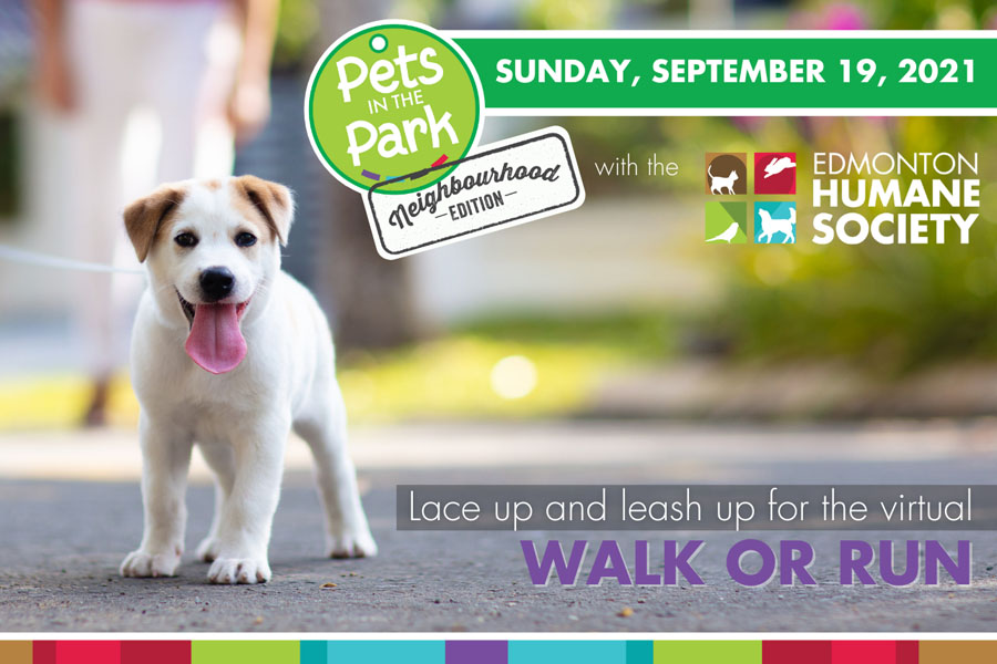 Global Edmonton supports: Pets in the Park: Neighbourhood Edition ...