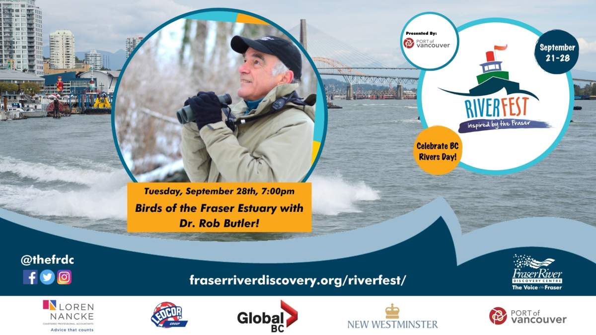 RiverFest: Birds of the Fraser Estuary with Dr. Robert Butler - image
