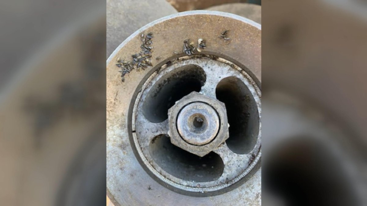 A boat contaminated with invasive zebra mussels was intercepted by Saskatchewan Environment inspectors and conservation officers near the Manitoba border.