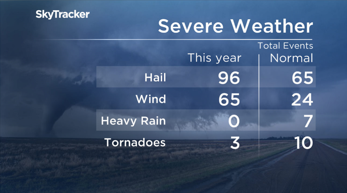 ‘Normal’ autumn expected after one of the hottest summers ever in Alberta - image