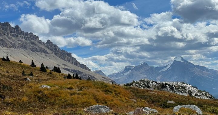 Environment minister to announce funding to fight invasive species in mountain parks