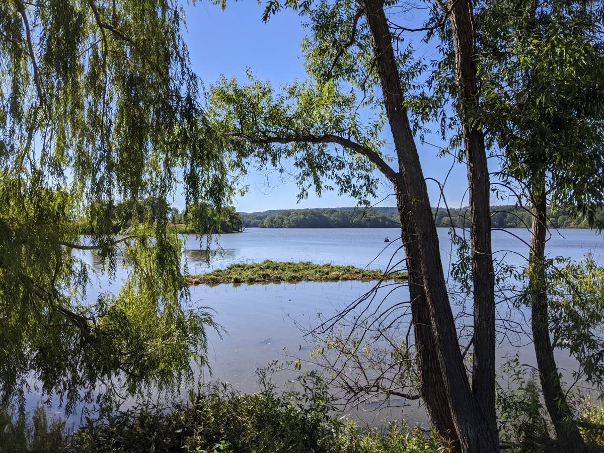 The city has completed some 'short-term' work, as it relates to provincial orders for remediating Chedoke Creek and Cootes Paradise following a devastating sewage spill.