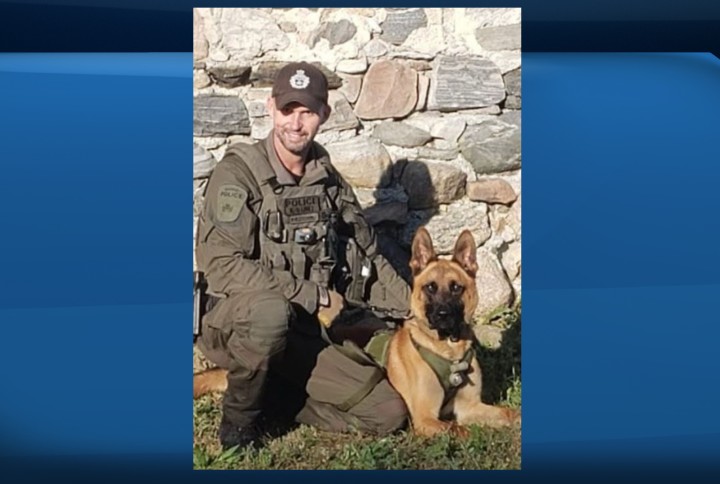 Barrie police Const. Paul Chubb is the handler of the 18-month-old Belgian Malinois dog Routs, the newest member of the force's K9 unit.