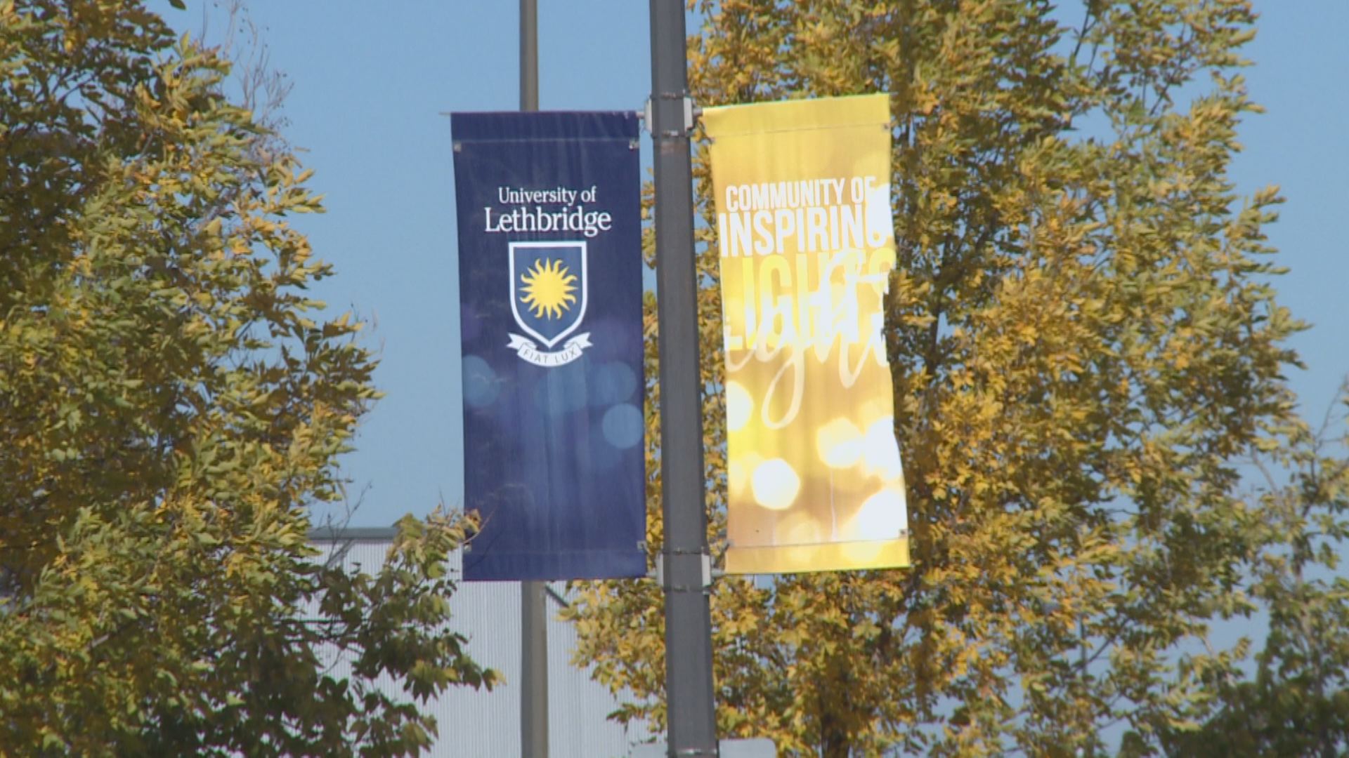 Lethbridge post-secondary institutions adopt new tool to report sexual violence – Lethbridge | 24CA News