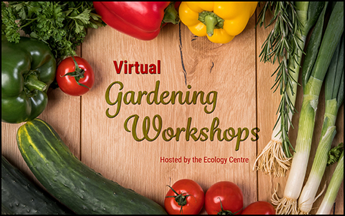 Growing a Pollinator Garden: Virtual Gardening Workshop - image