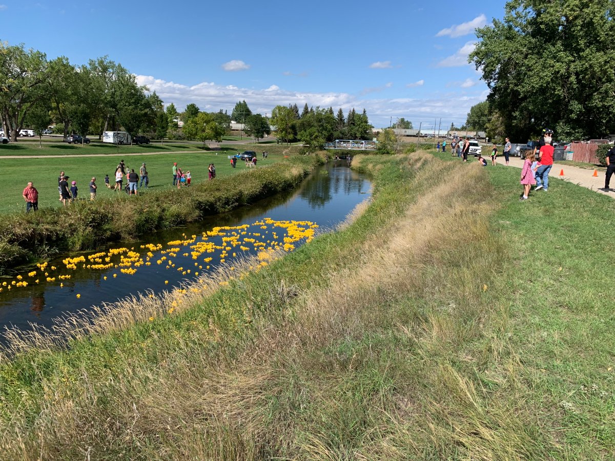 Andrea Orr says 1,380 rubber ducks were dumped into the creek in Swift Current, Sask., during a fundraiser for Make-A-Wish kids.