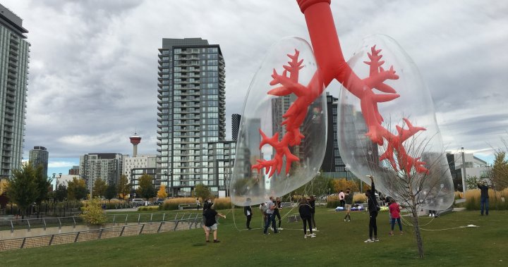 Travelling lung exhibit makes stop in Calgary, shows how pollution affects air we breathe