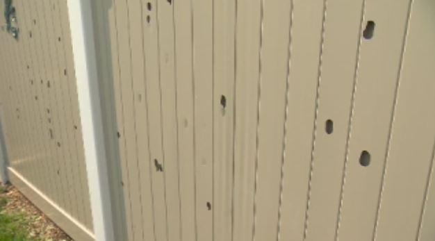 Laurin’s backyard fence almost took heavy hail damage.