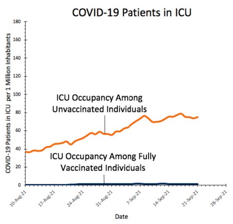 Unvaccinated people are much more likely to be in ICU
