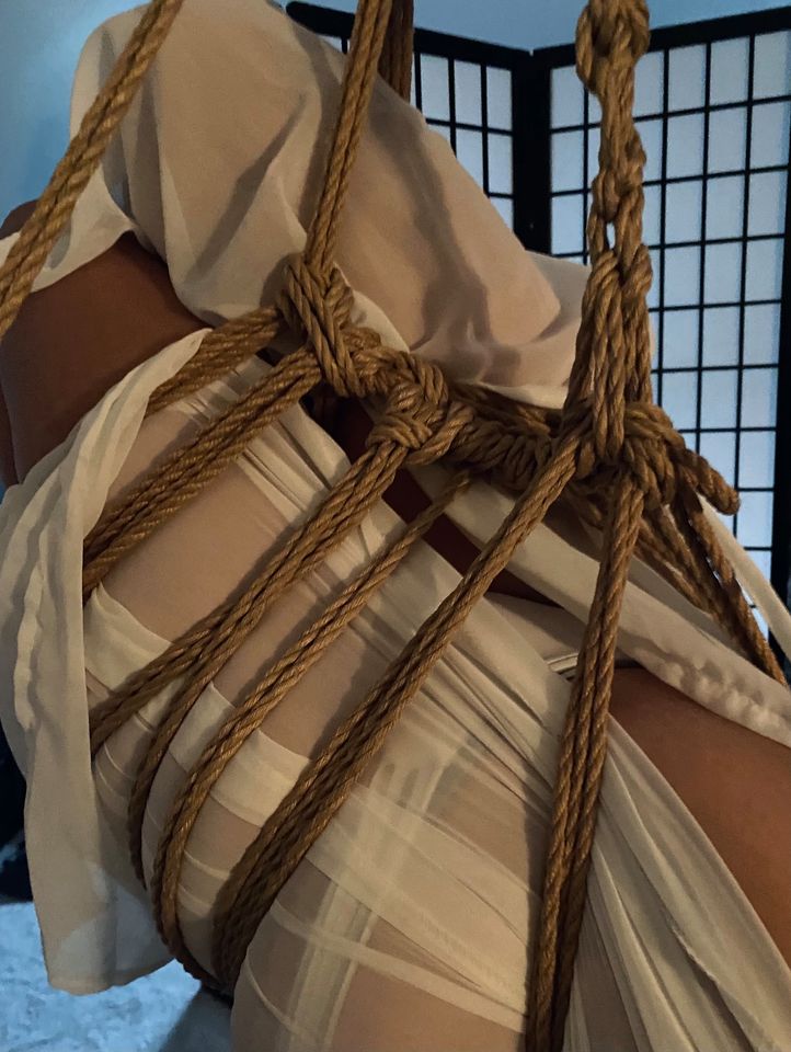 Nights of Intrigue: A Rope Performance by Knotyourpeach for Nuit Blanche - image