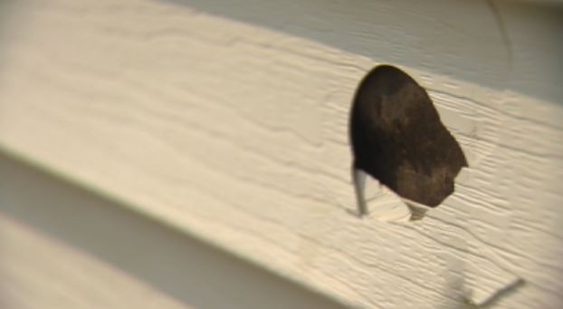 Melanie Laurin’s siding took extensive hail damage during Tuesday’s storm.