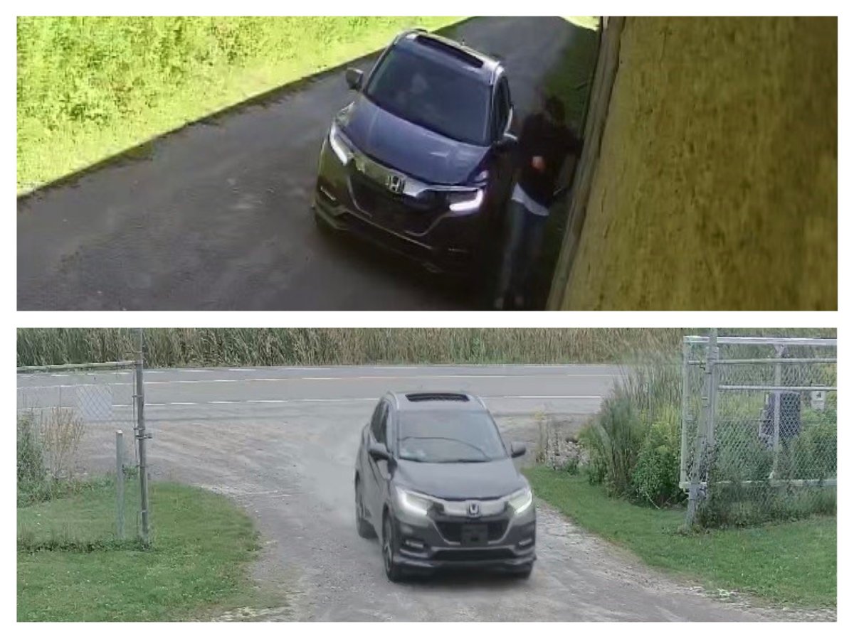 Peterborough County OPP are looking for information in connection to theft from storage lockers at a business on Sept. 1.