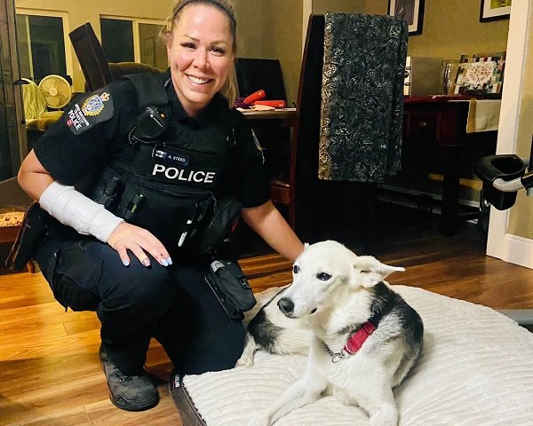 B.C. dog reunited with owner after missing for 5 days in stolen car