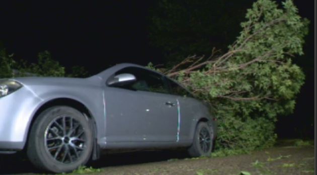A lightning strike caused the tree in Rod Anderson’s front yard to come crashing down on his daughter’s vehicle.