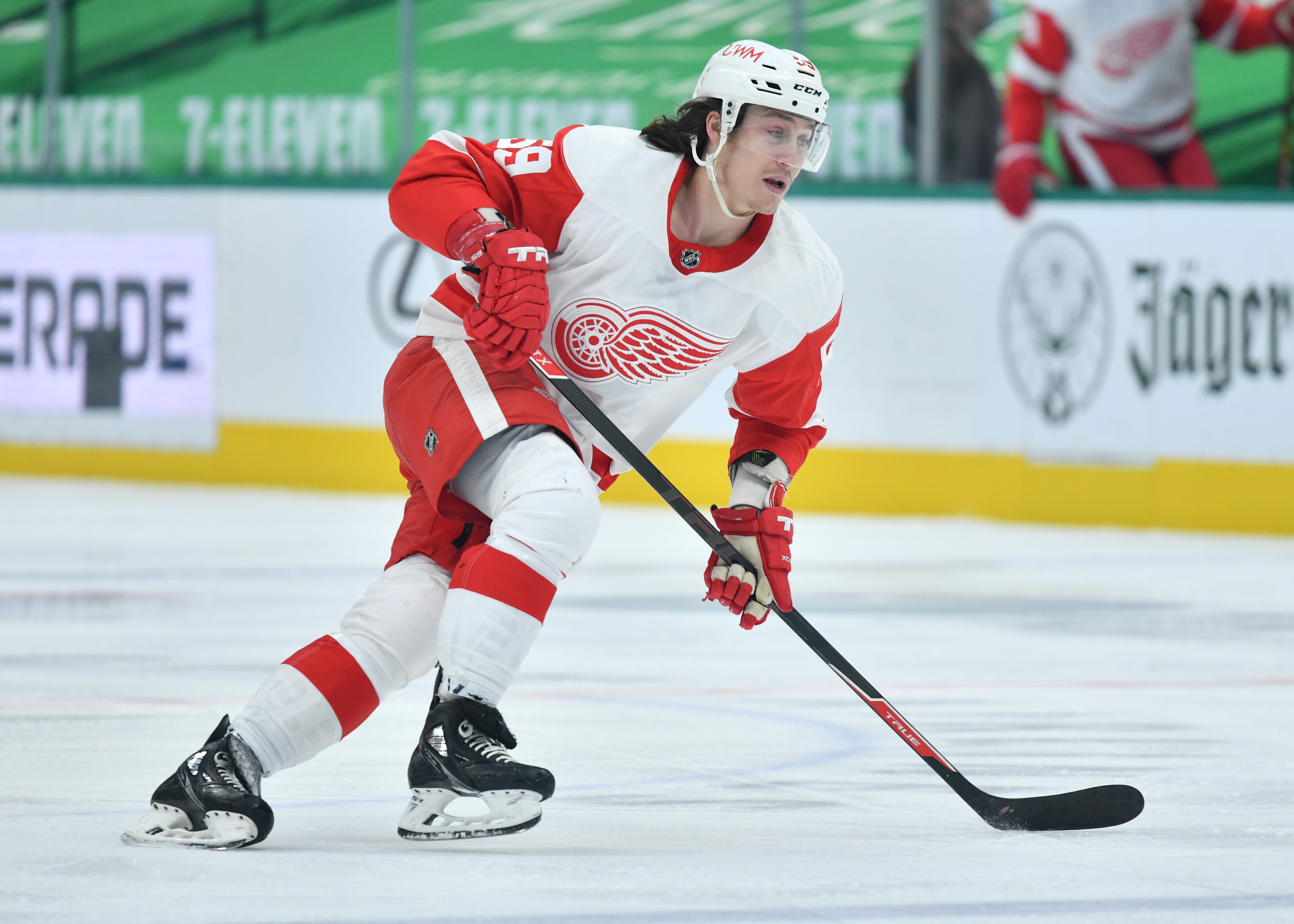 Red Wings recall Tyler Bertuzzi from AHL