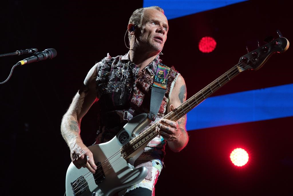 FILE - In this Sept. 4, 2019, file photo, Flea of the Red Hot Chili Peppers performs at a concert in Abu Dhabi, United Arab Emirates. Flea turned 59 on Saturday, Oct. 16, 2021, and his Silverlake Conservatory of Music turned 20, and they celebrated with a joint party in the parking lot for the Los Angeles school that often serves as a de facto performance space for its faculty and students. (AP Photo/Jon Gambrell, File).