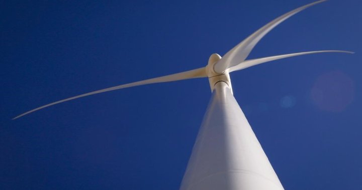 Proposed N.S. wind farm could have deadly toll on migrating birds, expert says