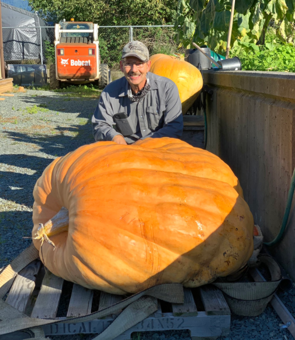 Chilliwack, B.C. resident Darwin Gartner poses next to his 430-pound pumpkin, before donating it to the Imagine High Integrated Arts and Technology Secondary School.
