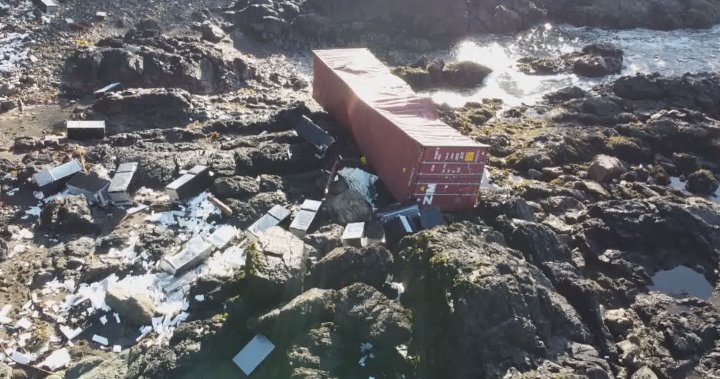 ‘Slow-moving disaster’: Group wants urgent action on cargo spills in B.C.