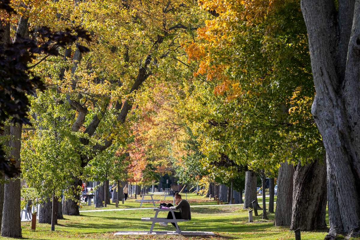 Check out this list to see what's open and what's closed in and around Kingston over the 2021 Thanksgiving weekend. 