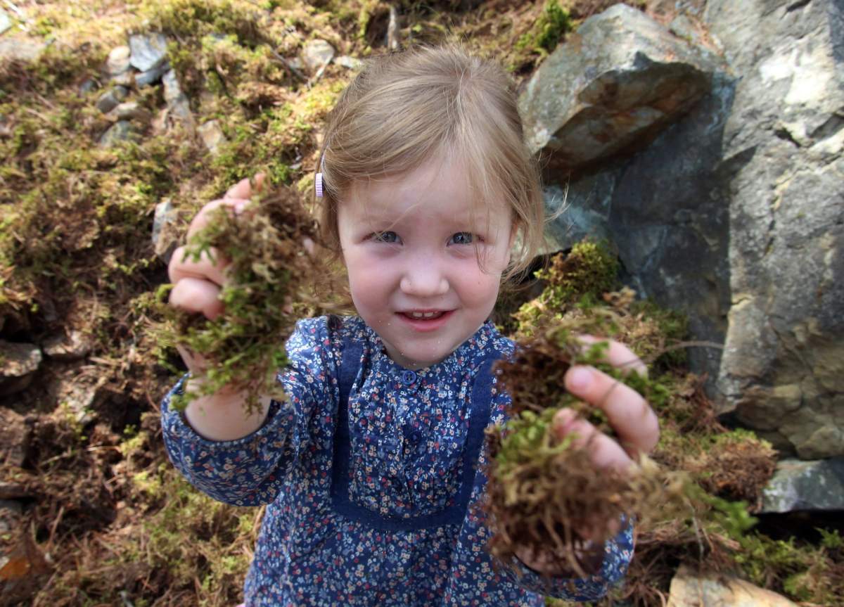 A UBC study examines green spaces and their relationship to childhood development.