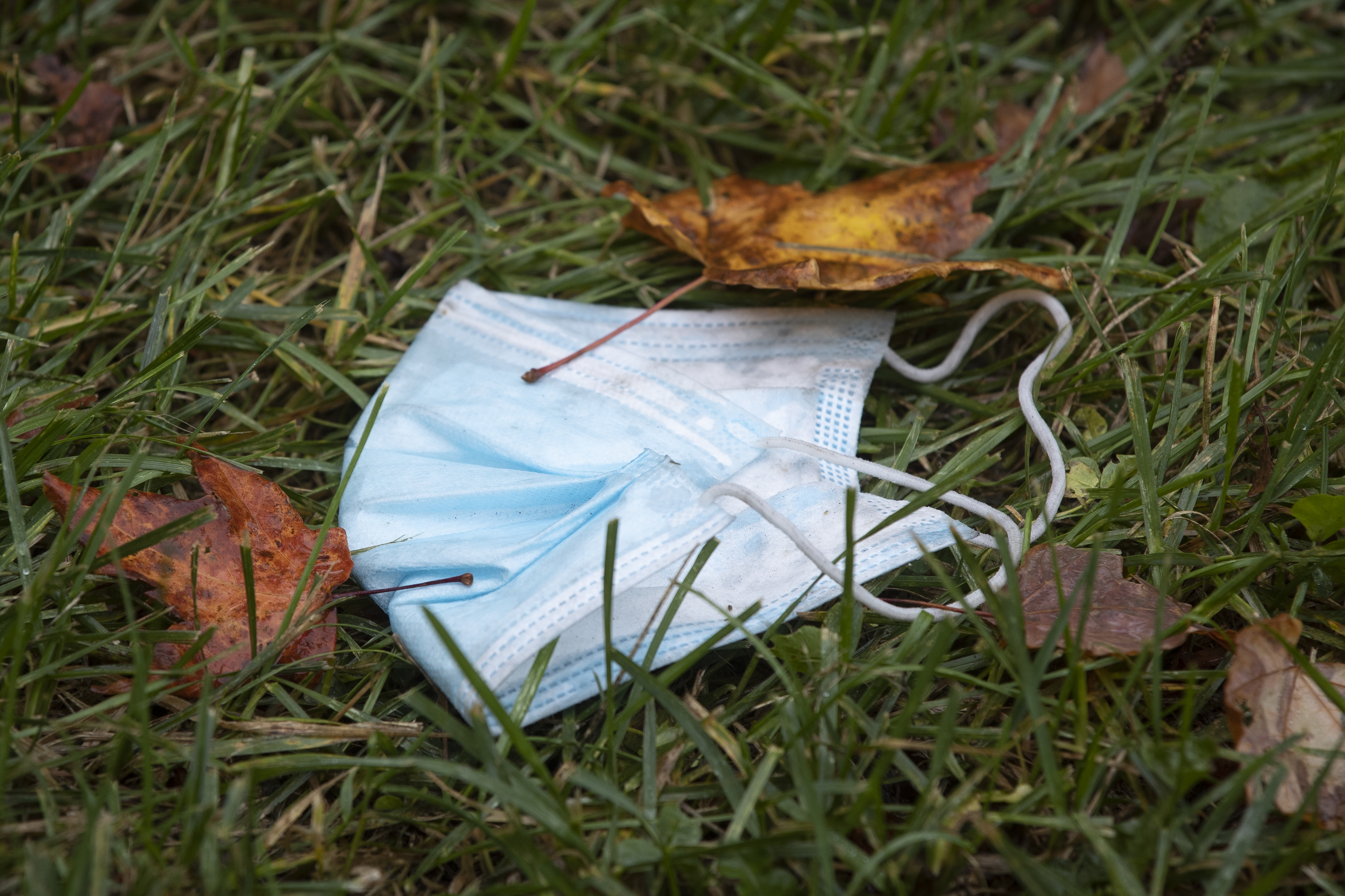 Covid 19 N B Reports 73 New Cases And 2 Deaths Thanksgiving Restrictions In Effect New Brunswick Globalnews Ca