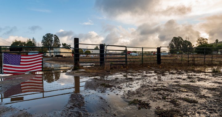 Records rains welcomed in drought-hit California, but is it enough to turn the tide?