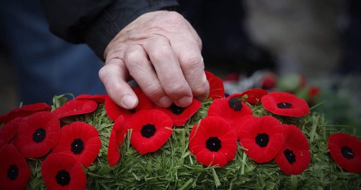 City of Barrie to commemorate Remembrance Day with flag raising, ceremony
