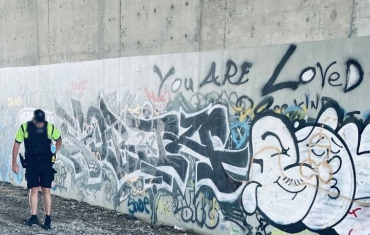 Police looked into reports of hundreds of graffiti-related incidents.