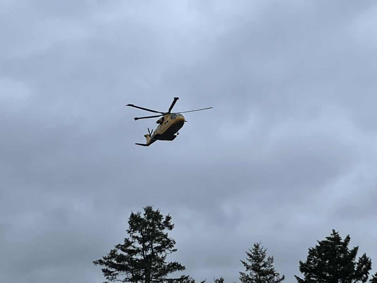 A Department of Natural Resources helicopter is shown searching for the missing 10-year-old