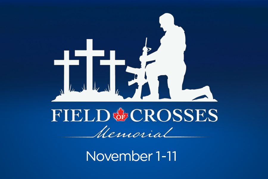 Field of Crosses Memorial Project, supported by Global Calgary - image