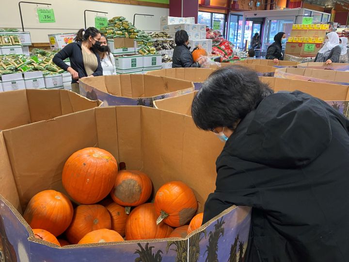 Customers at Freestone Produce in Calgary select  a free pumpkin on Friday Oct. 29, 2021.