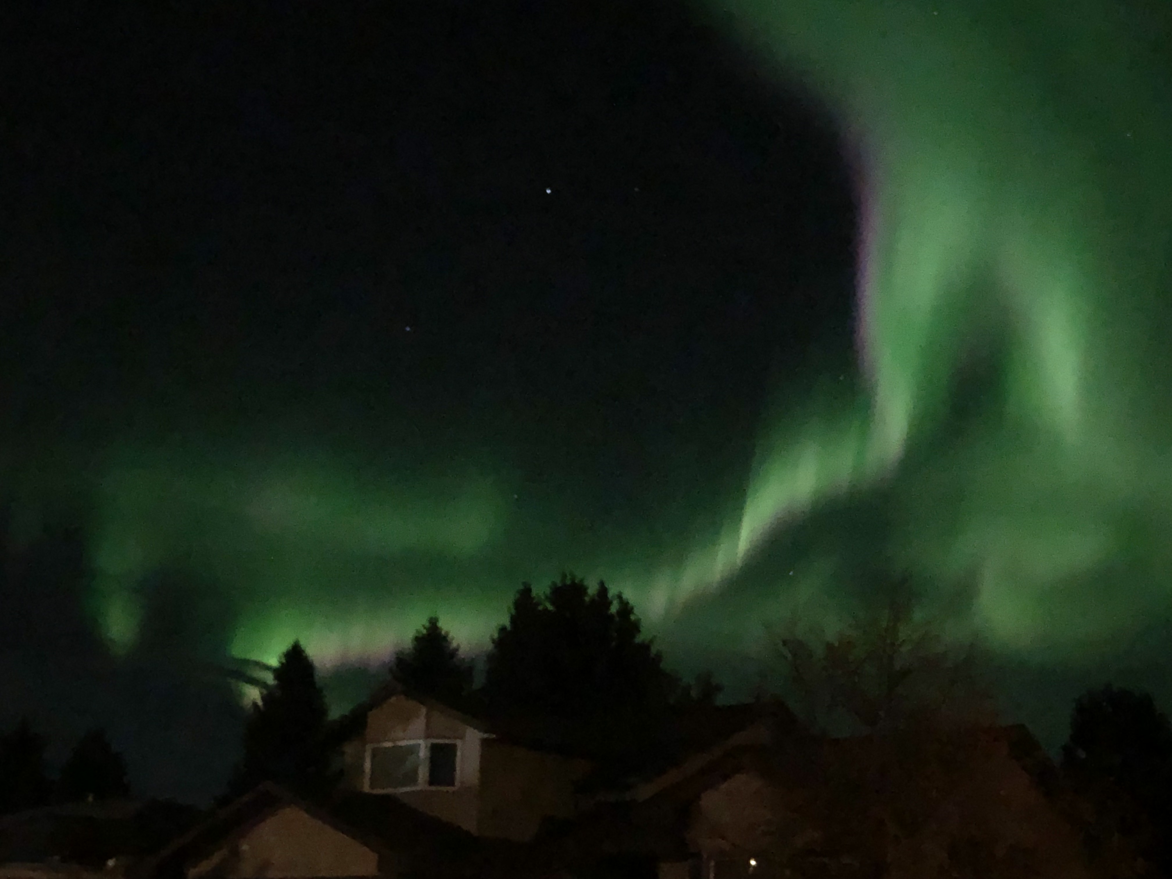 aurora watch red deer