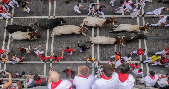 Man dead after being gored during a bull run festival in Spain