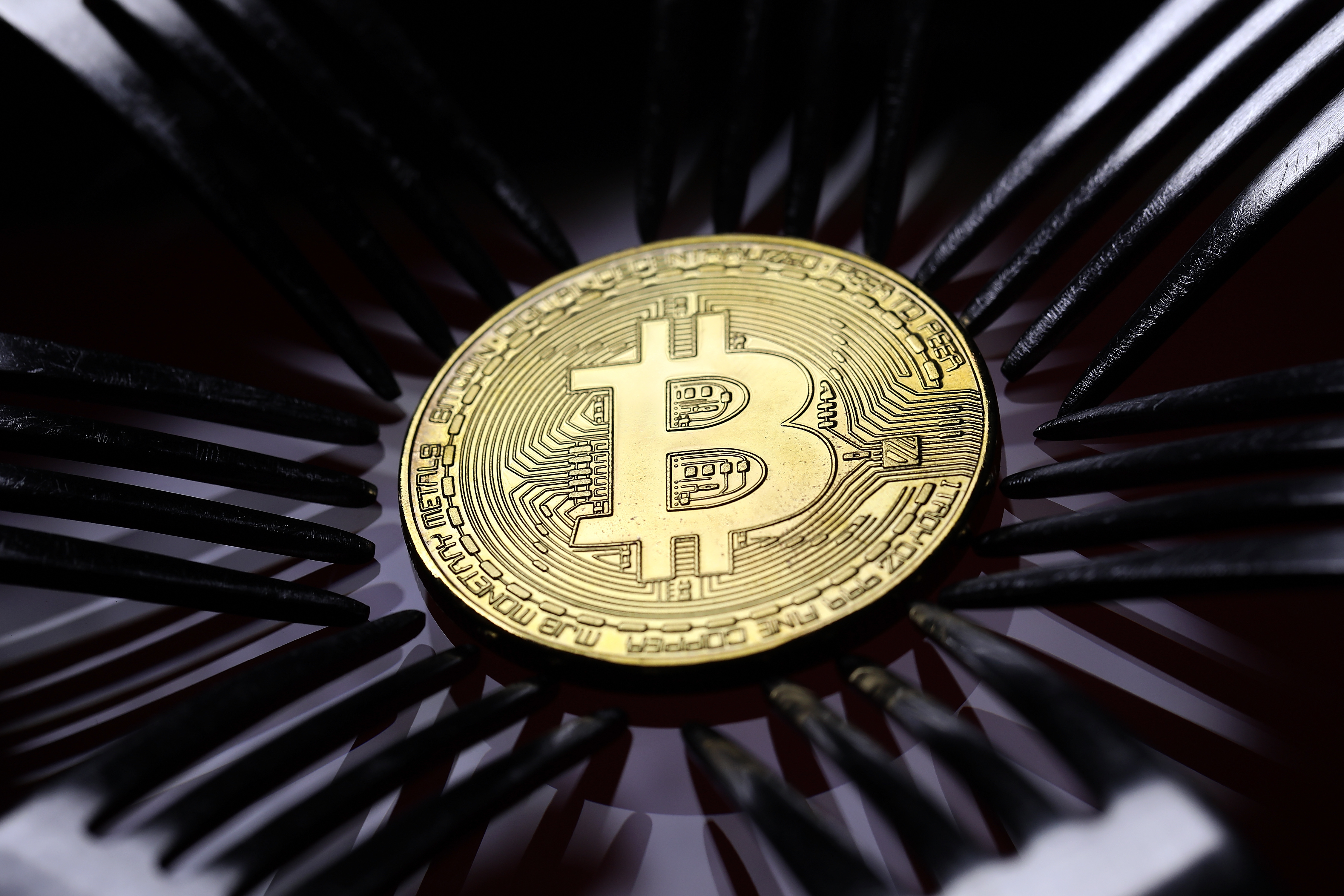 Bitcoin price hits all-time high, one day after U.S. ETF debut - National |  Globalnews.ca