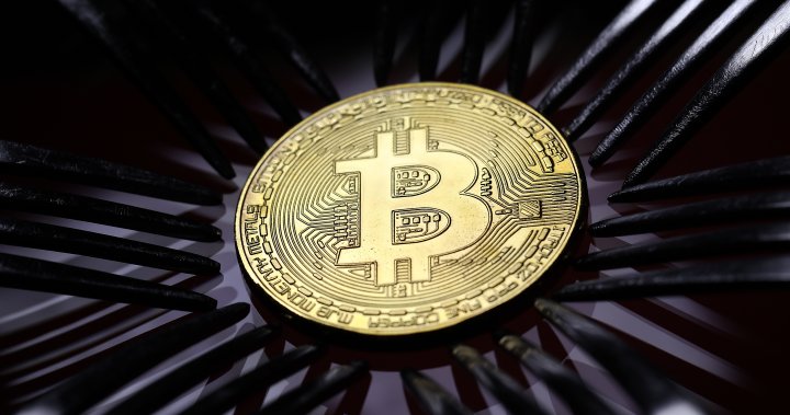 Harga Bitcoin mencapai level tertinggi baru sepanjang masa di tengah kekhawatiran inflasi – Nasional