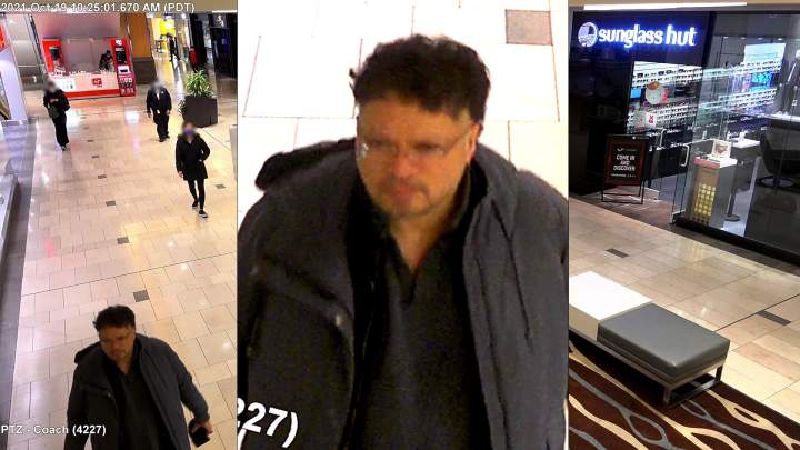 Police arrest man seen holding a gun in downtown Vancouver - BC ...