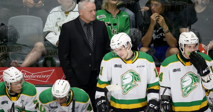 London Knights are finally back to normal