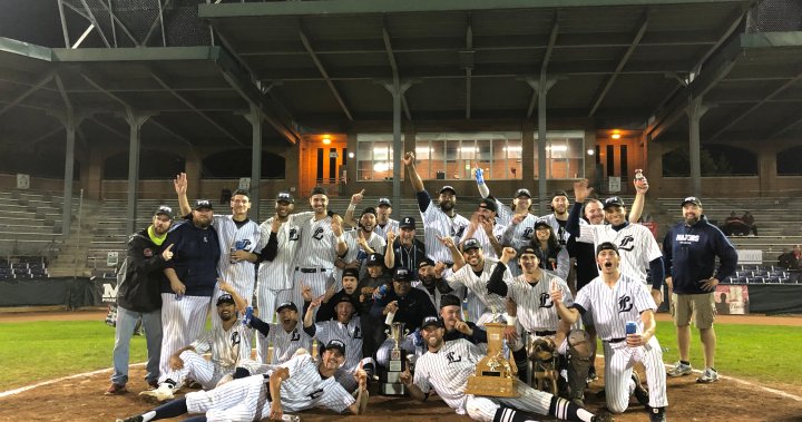 London Majors crowned IBL champions for the first time in 46 years – London | Globalnews.ca