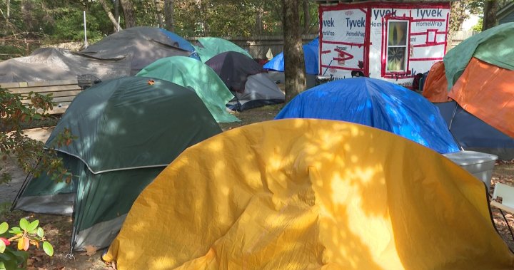 Why having certain parks for unhoused people in Halifax ‘misses the point,’ expert says