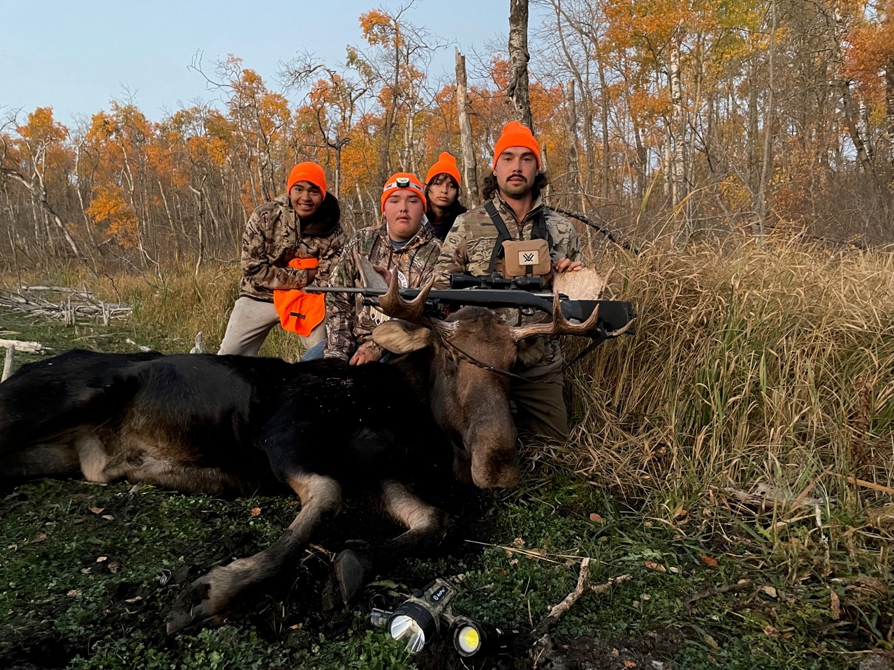 Land-based activities examples picture