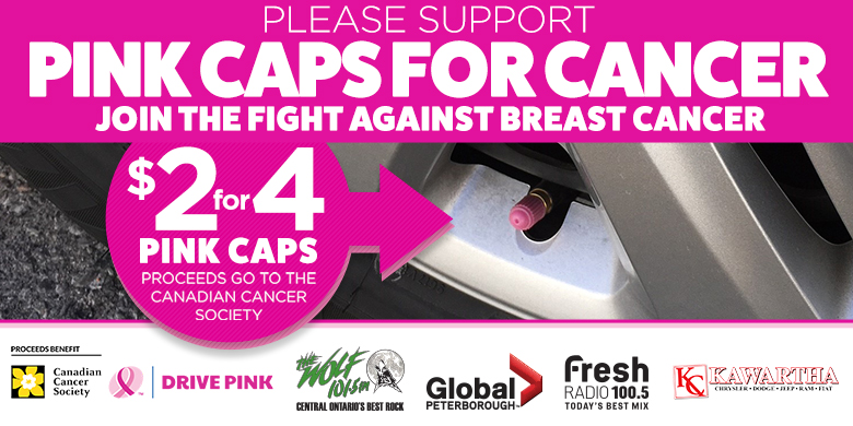 Pink Caps For Breast Cancer - image
