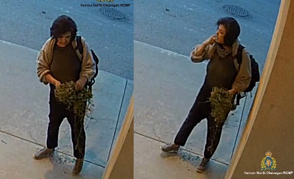 On Aug. 29, police were called to a school on Pleasant Valley Road in Vernon where a staff member discovered the remnants of a burned garbage can against a wall outside of the school.