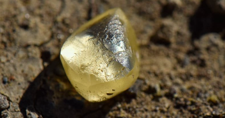 Una mujer encuentra un diamante de 4 quilates en un parque estatal de EE. UU. Y tiene que quedárselo – patriotic