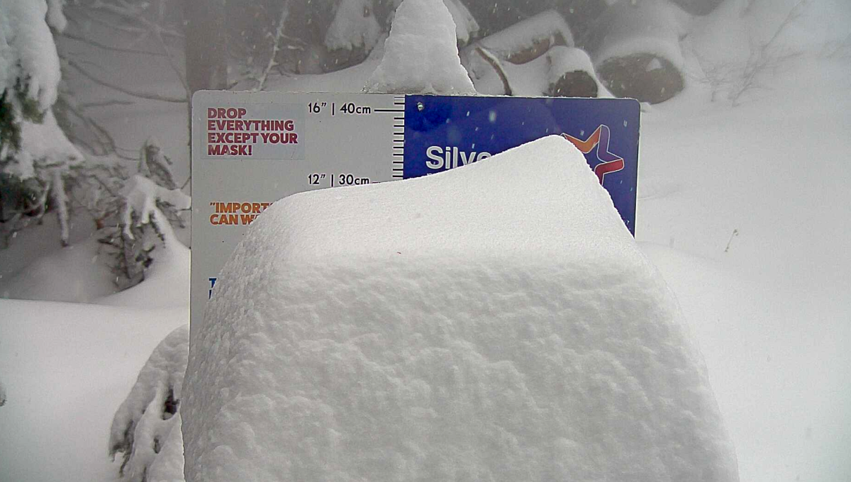 SilverStar Resort near Vernon, B.C., was reporting 30 cm of fresh snow on Thursday afternoon.