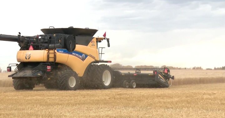 Harvest ‘practically complete’ across Saskatchewan: crop report